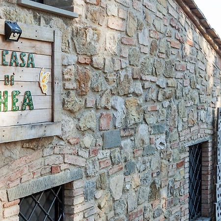 La Casa Di Thea - Flo Apartments Impruneta Exterior foto